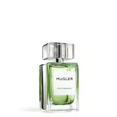 Mystic Aromatic